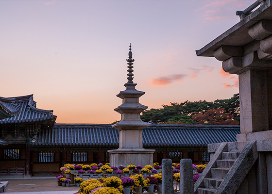 불국사&석굴암